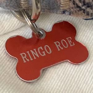 Meet your Posher, Dave